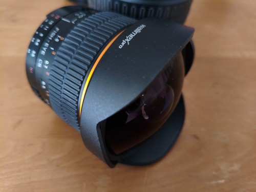 Wallimex pro ae8 fish - wallimex, cs
